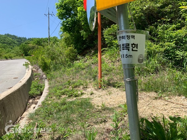 회목현