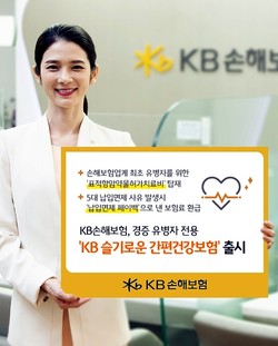 KB손해보험이 KB슬기로운 간편건강보험을 출시했다