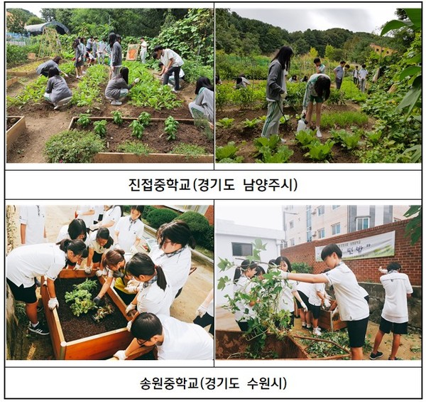 2019년 학교텃밭 활동 프로그램