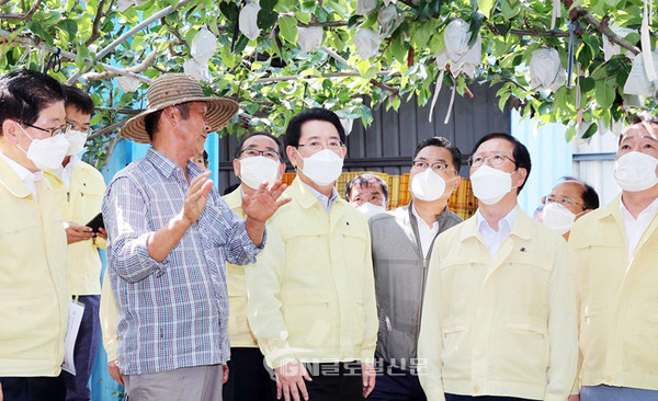 김영록 전라남도지사가 3일 오전 제9호 태풍 ‘마이삭’이 북상 하면서 몰고온 강풍으로 배 낙과 피해를 입은 고흥군 남양면 망주리 과수원을 찾아 농가로부터 낙과 피해에 대해 설명을 듣고 있다. / 전남도