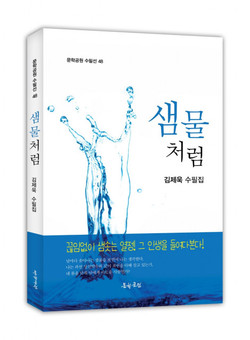 김제욱 수필집 ‘샘물처럼’ 표지, 272페이지