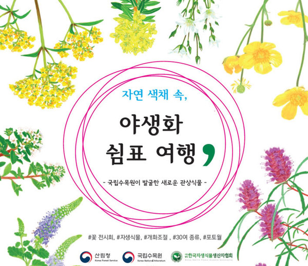 새로운 관상식물들과 함께 느끼는 쉼표 여행, 야생화 전시회 개최