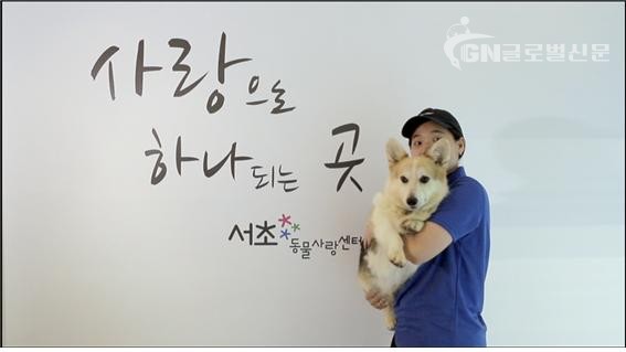 서초 펫티켓 홍보