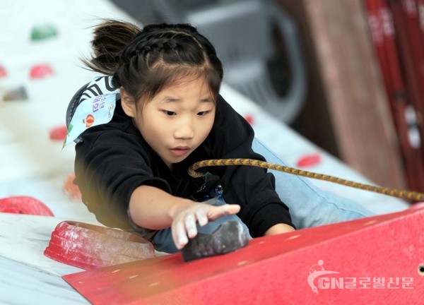 '2019년 회장배 스포츠클라이밍 대회' 사진. (제공 = 대한산악연맹)