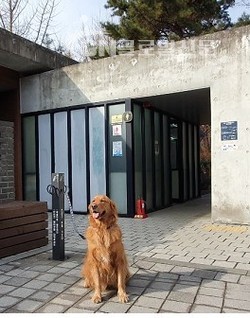 남산공원 야외식물원 내 화장실 앞