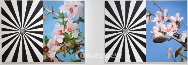 Exstacy Almond Blossom Series (L), 214×304㎝