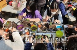 나만의 작은 정원 꾸미기