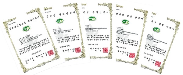 5회 연속으로 획득한 국기원 누리집의 ‘웹 접근성 품질인증서’.