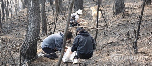 반려견과 함께 씨앗 뿌리기 행사에 참여한 시민들이 모종을 심고 있다