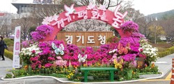 코로나19 확산에 따라 ‘경기도청 봄꽃축제’ 개최하지 않기로