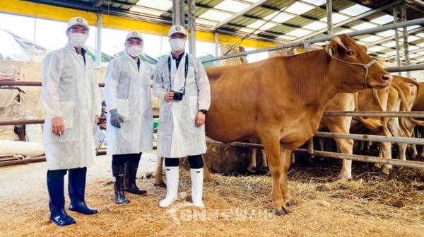 경기도 관계자들이 '한우·젖소 경진대회' 심사를 위해 방문한 농장에서 한우와 함께 기념촬영하고 있다. 경기도 제공