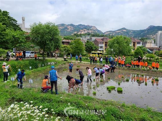 지난해 열린 향림도시농업체험원 모내기 행사 모습