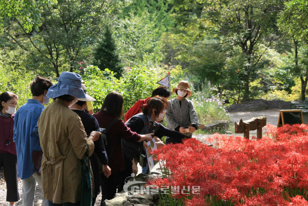 신구대학교식물원이 가을 식물 전시 ‘꽃무릇 산책’을 개최한다