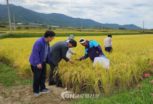 지난 25일 전남 영광군 친환경 쌀 재배단지를 방문한 박원종 전남도의원의 모습