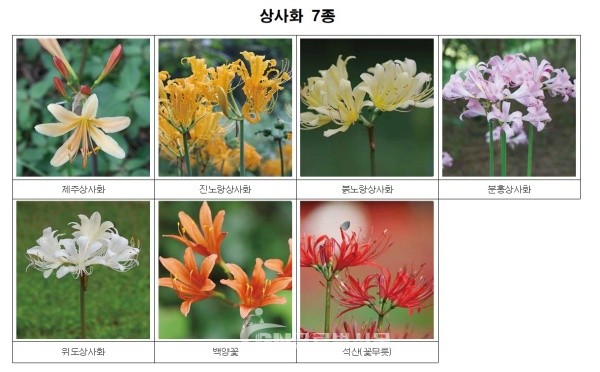 신규지정 7종