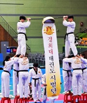경희대학교 태권도시범단