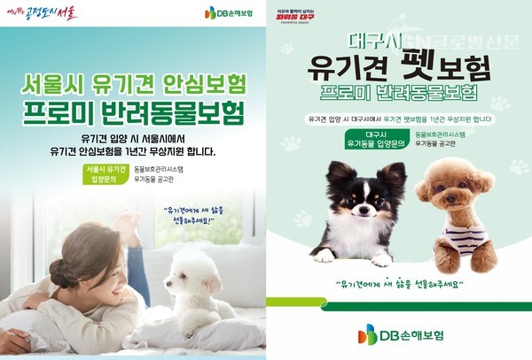 DB손해보험 유기견 보험정책