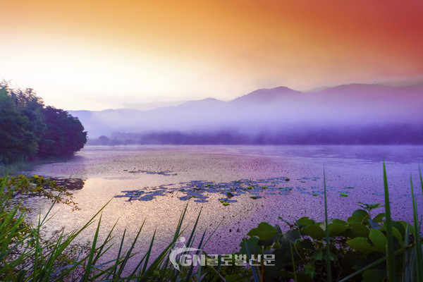 고창 운곡습지의 여명