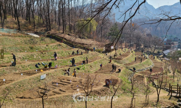 향림도시농업체험원 텃밭