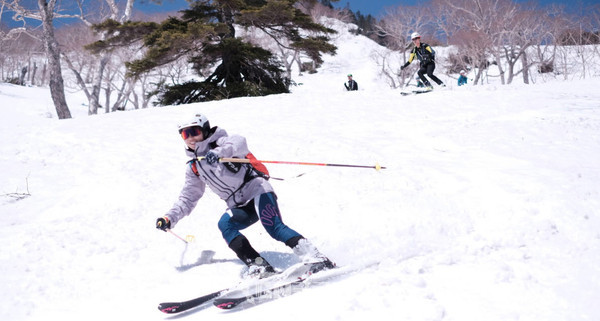 '2023 산악스키 한·일교류전'에서 한국 산악스키 선수들과 일본 국가대표 산악스키 선수들이 친선교류전을 펼치고 있다. (제공= 대한산악연맹)