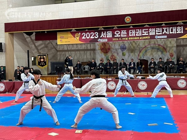 서울오픈태권도챌린지대회’ 시범종목 참가팀 일부 장면