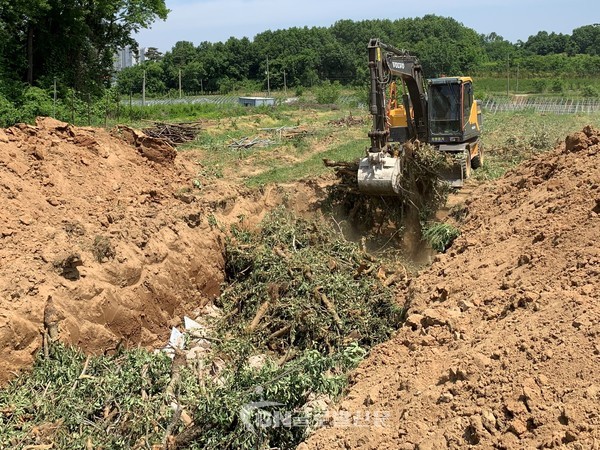 과수화상병 발병 현장