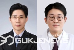 [사진](왼쪽부터) 분당서울대병원 이비인후과 최병윤 교수, 일산백병원 이비인후과 이승재 교수