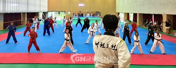 태권도진흥재단 지도사범의 지도에 따라 수련을 하고 있다