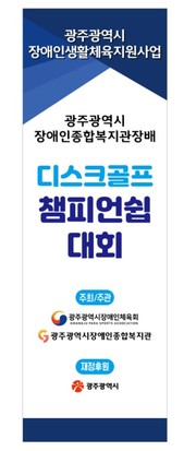 디스크골프 챔피언쉽 대회