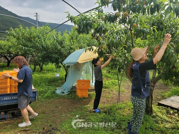 충북형 도시농부 사업이 2025년 새해와 함께 본격적인 참여자 모집을 시작했다.<br>