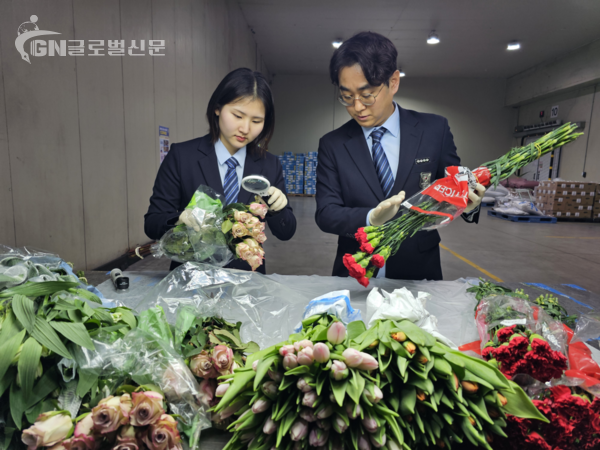 사진-수입 화훼류에 대한 현장검역 사진