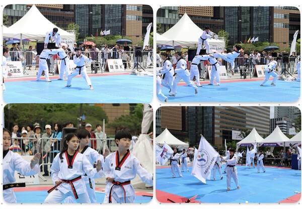 사진-2025서울특별시한마음페스티벌 '종로구태권도시범단' 의 멋진경연 및 다양한모습 [종로구태권도협회 제공]