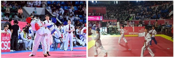 (왼)겨루기경기, (오)품새경기