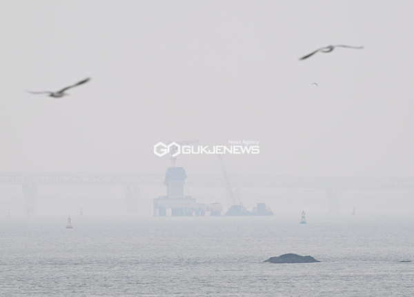 [날씨] 수도권, 곳곳에 산발적 소나기→영종대교 등 짙은 안개